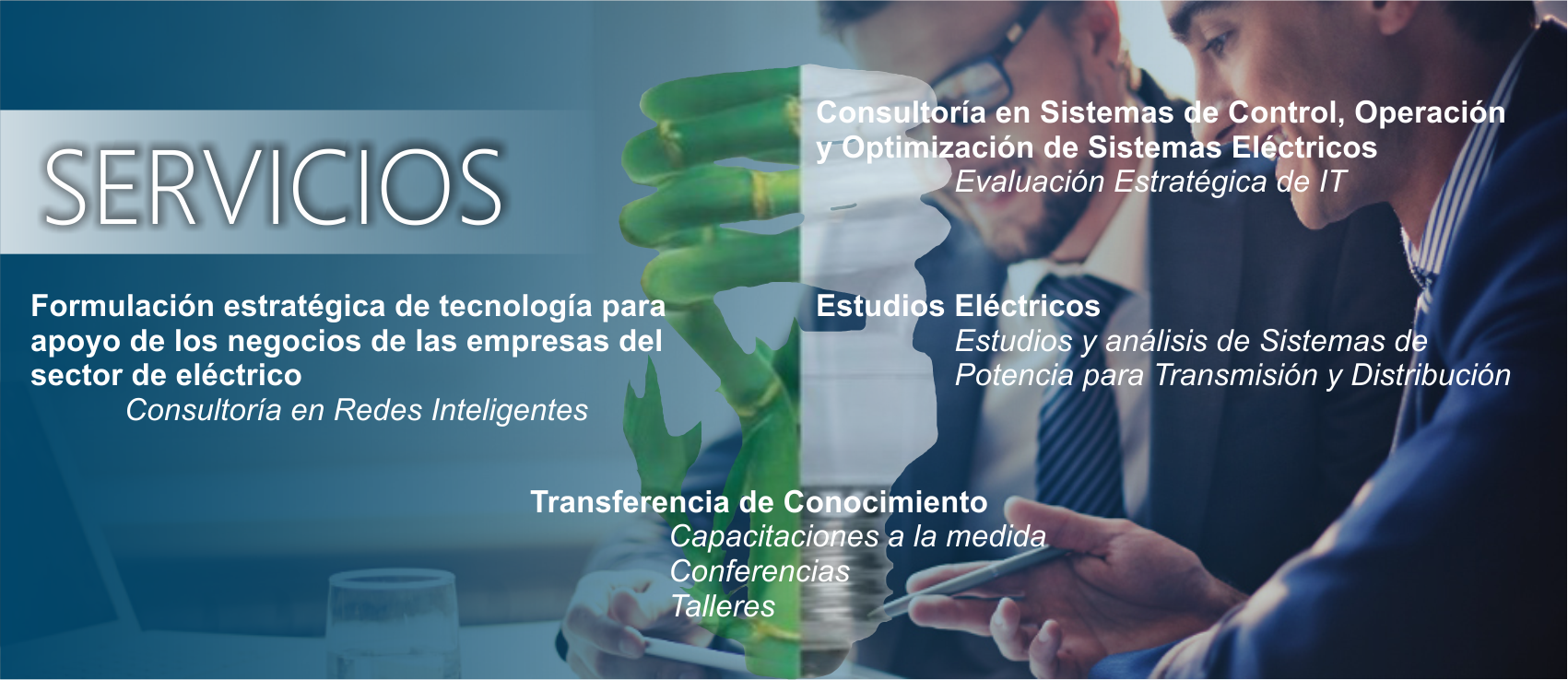 servicios
